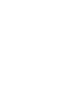 The Big Draw